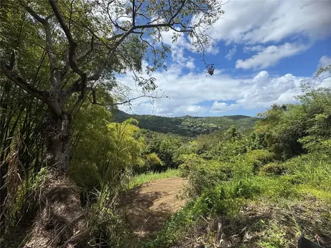 Carr 857 Km 6.3 Carolina PR 00987