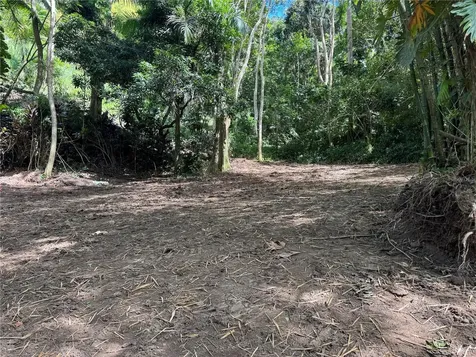 Carr 857 Km 6.3 Carolina PR 00987