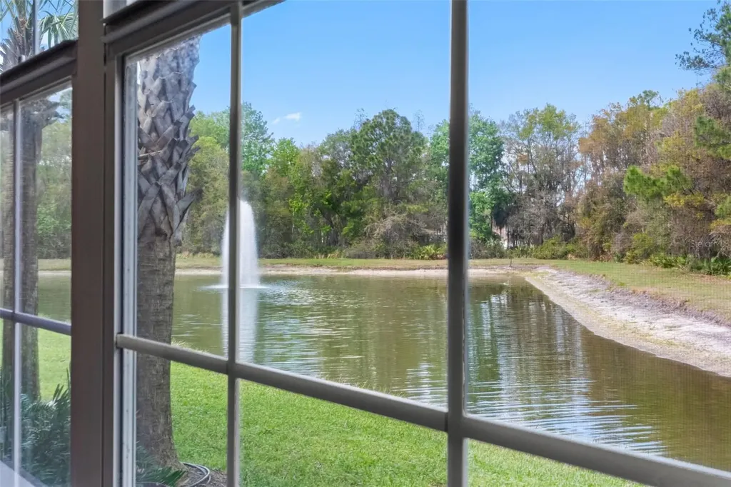 29943 Ganga Way Wesley Chapel FL 33543