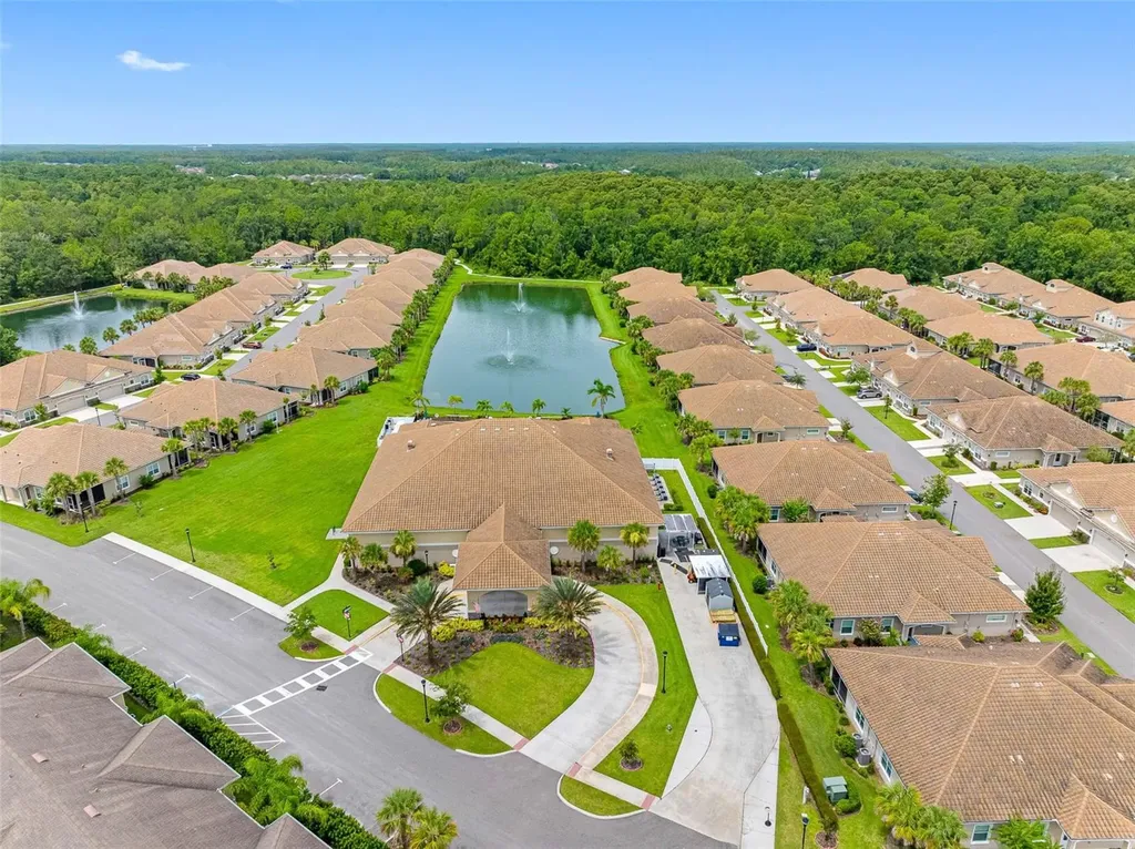 29943 Ganga Way Wesley Chapel FL 33543