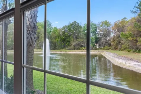 29943 Ganga Way Wesley Chapel FL 33543