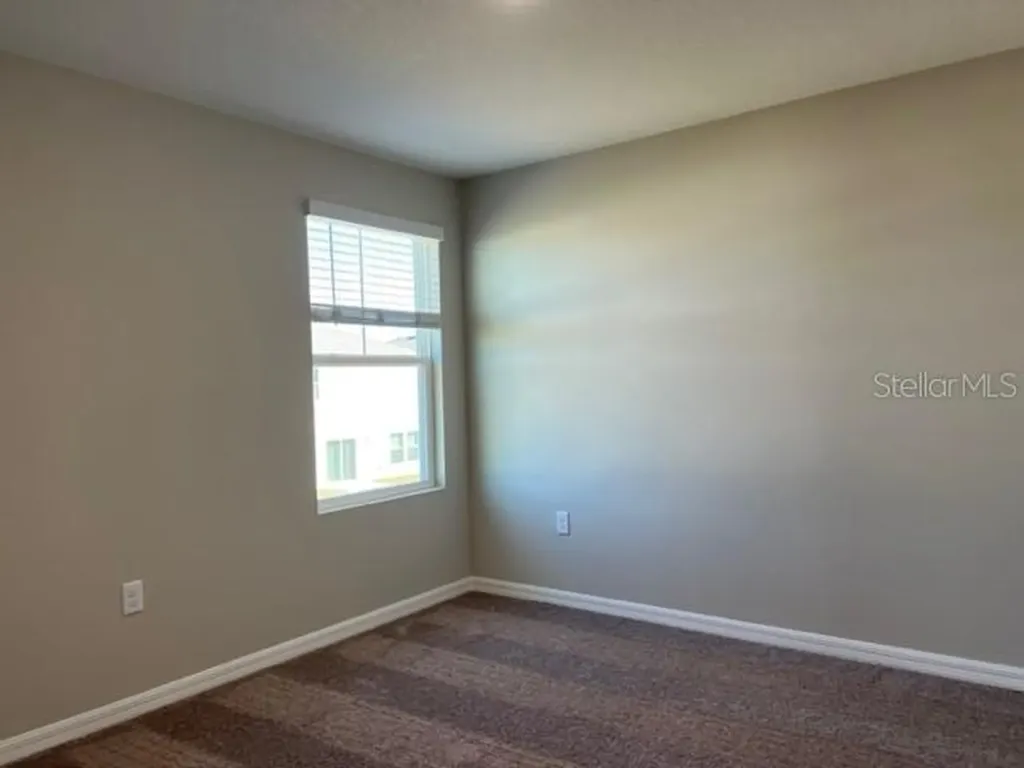 34137 Scarlet Sage Court Wesley Chapel FL 33545