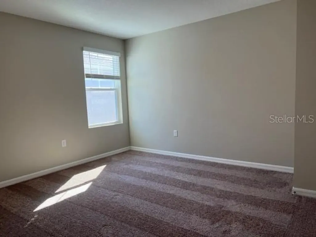 34137 Scarlet Sage Court Wesley Chapel FL 33545