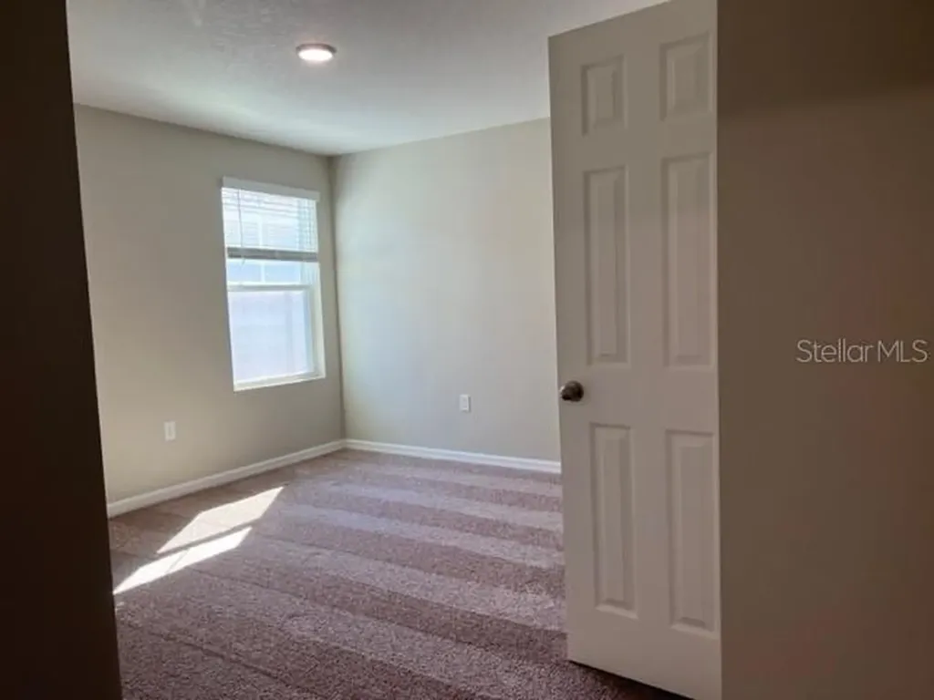 34137 Scarlet Sage Court Wesley Chapel FL 33545