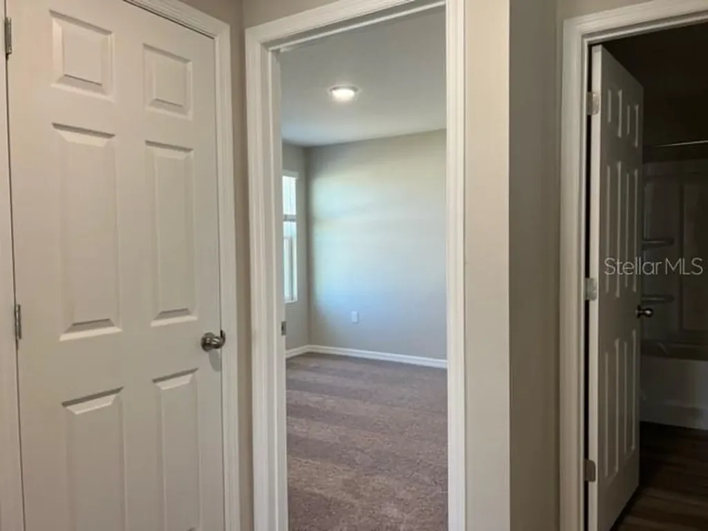 34137 Scarlet Sage Court Wesley Chapel FL 33545