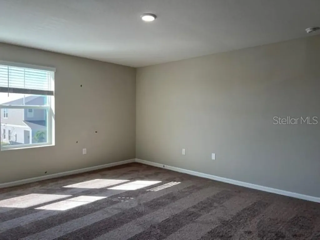 34137 Scarlet Sage Court Wesley Chapel FL 33545