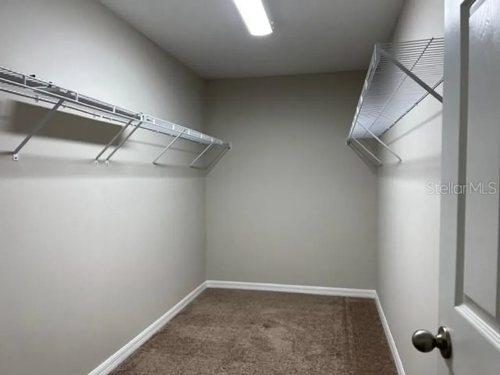 34137 Scarlet Sage Court Wesley Chapel FL 33545