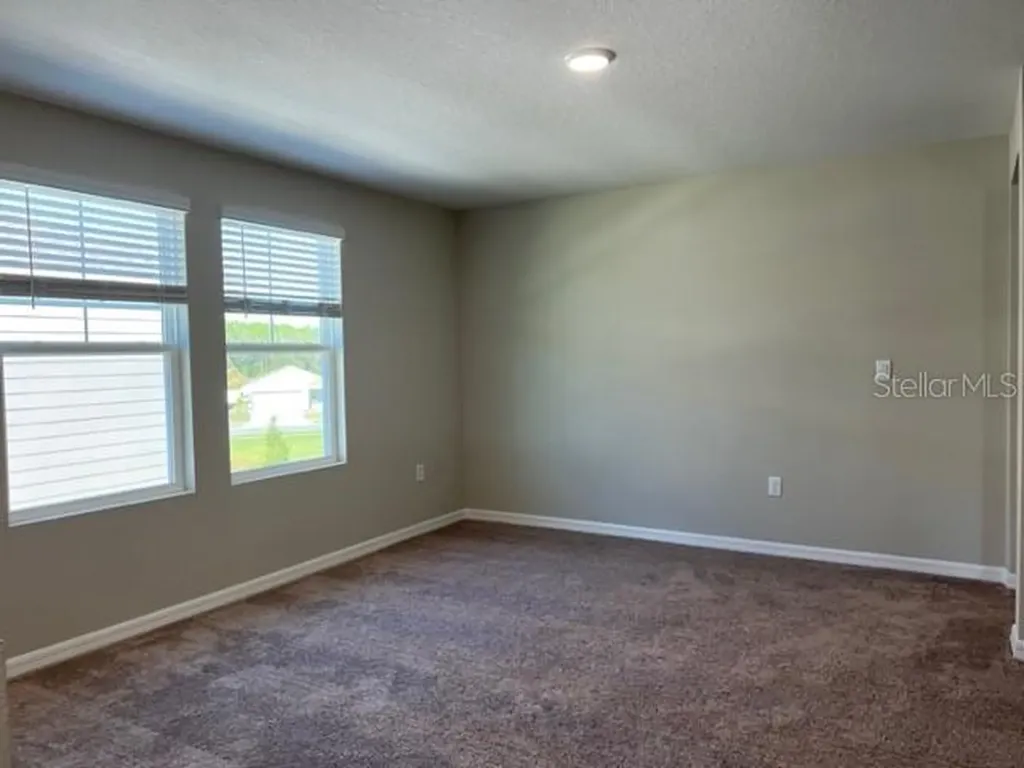 34137 Scarlet Sage Court Wesley Chapel FL 33545