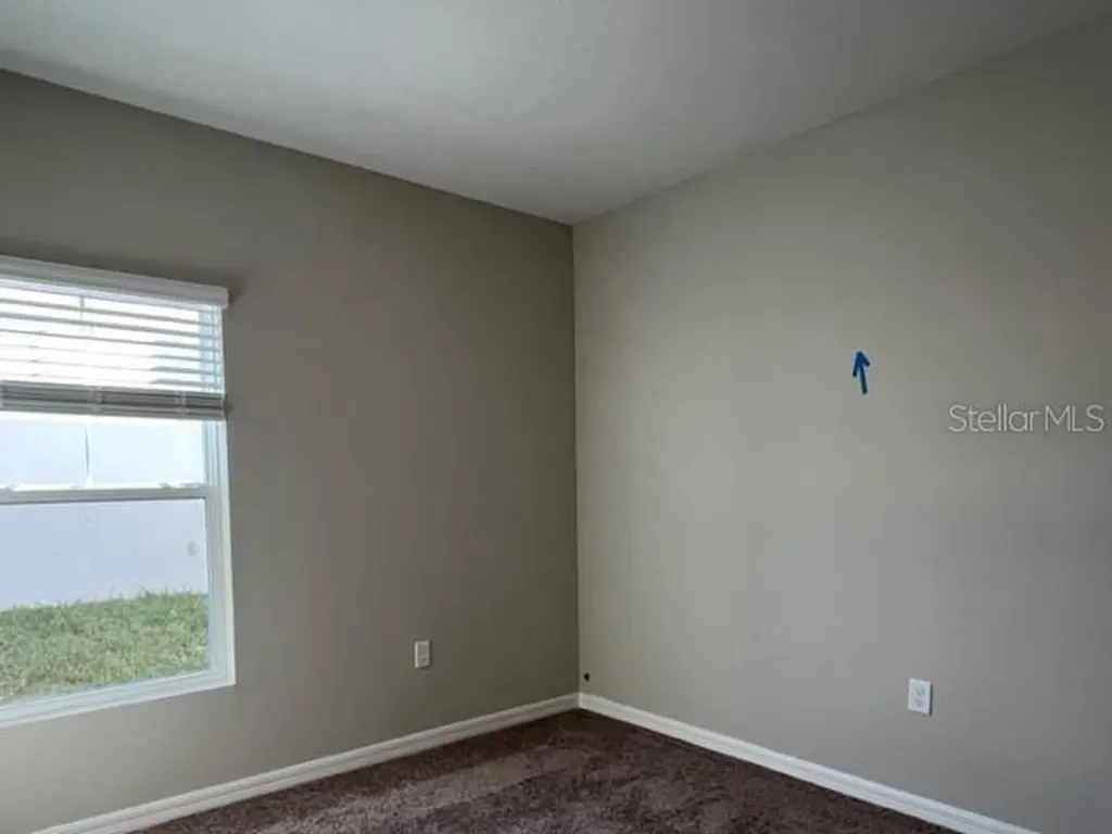 34137 Scarlet Sage Court Wesley Chapel FL 33545