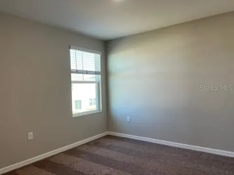34137 Scarlet Sage Court Wesley Chapel FL 33545