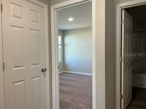 34137 Scarlet Sage Court Wesley Chapel FL 33545
