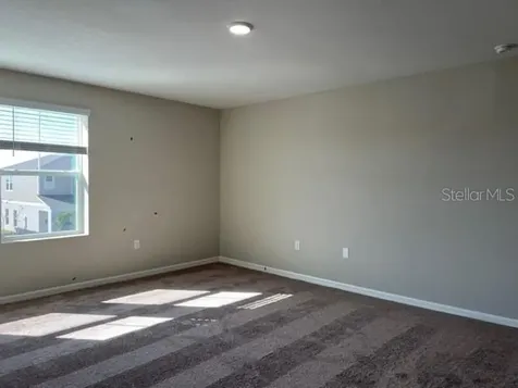 34137 Scarlet Sage Court Wesley Chapel FL 33545