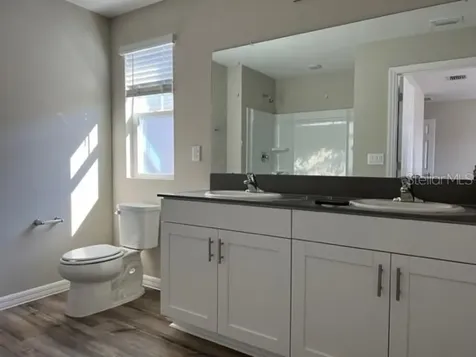 34137 Scarlet Sage Court Wesley Chapel FL 33545