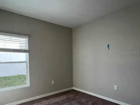 34137 Scarlet Sage Court Wesley Chapel FL 33545