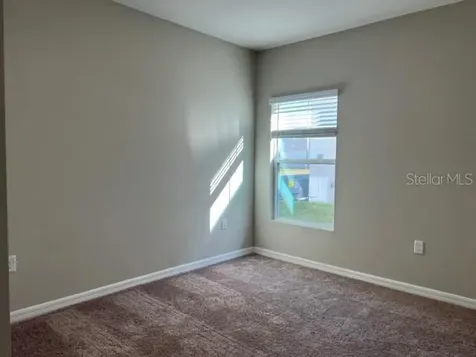 34137 Scarlet Sage Court Wesley Chapel FL 33545