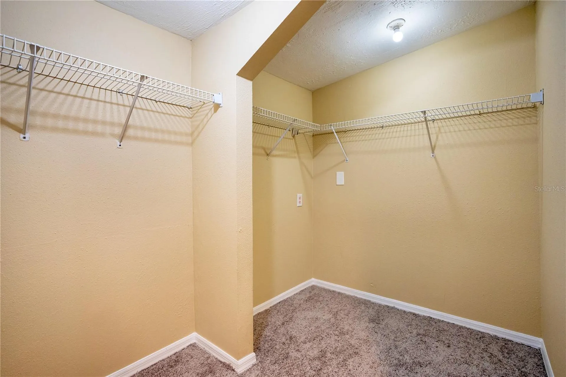 38341 Palm Grove Drive Zephyrhills FL 33542