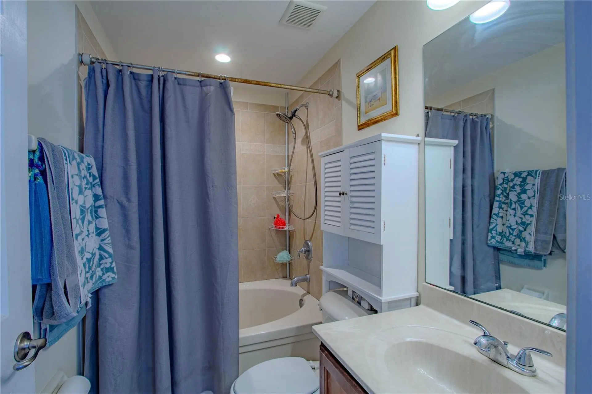 10917 Brickside Court Riverview FL 33579