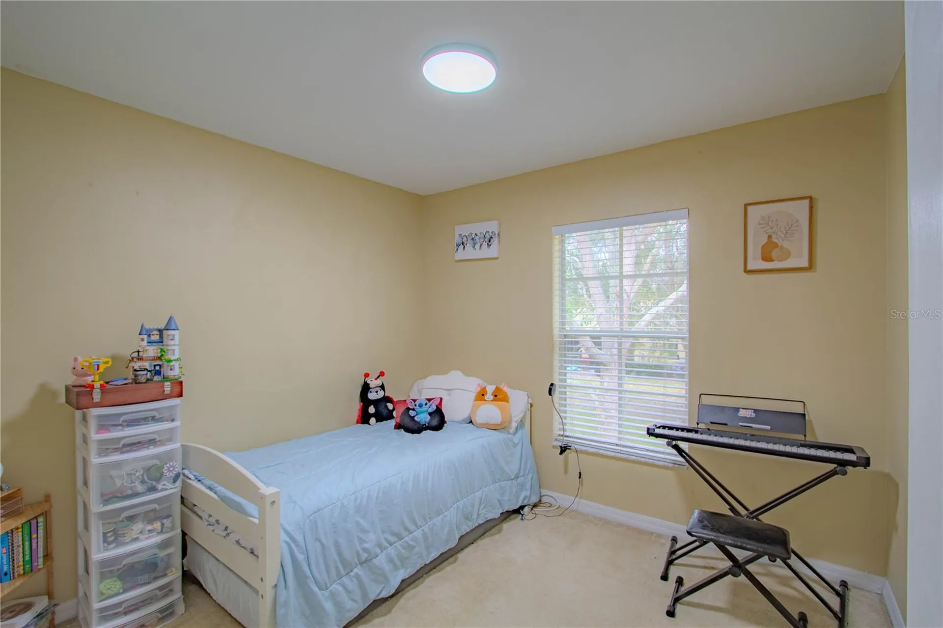 10917 Brickside Court Riverview FL 33579