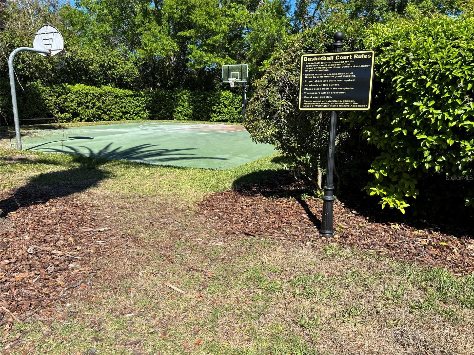 1310 Oxbridge Drive Lutz FL 33549
