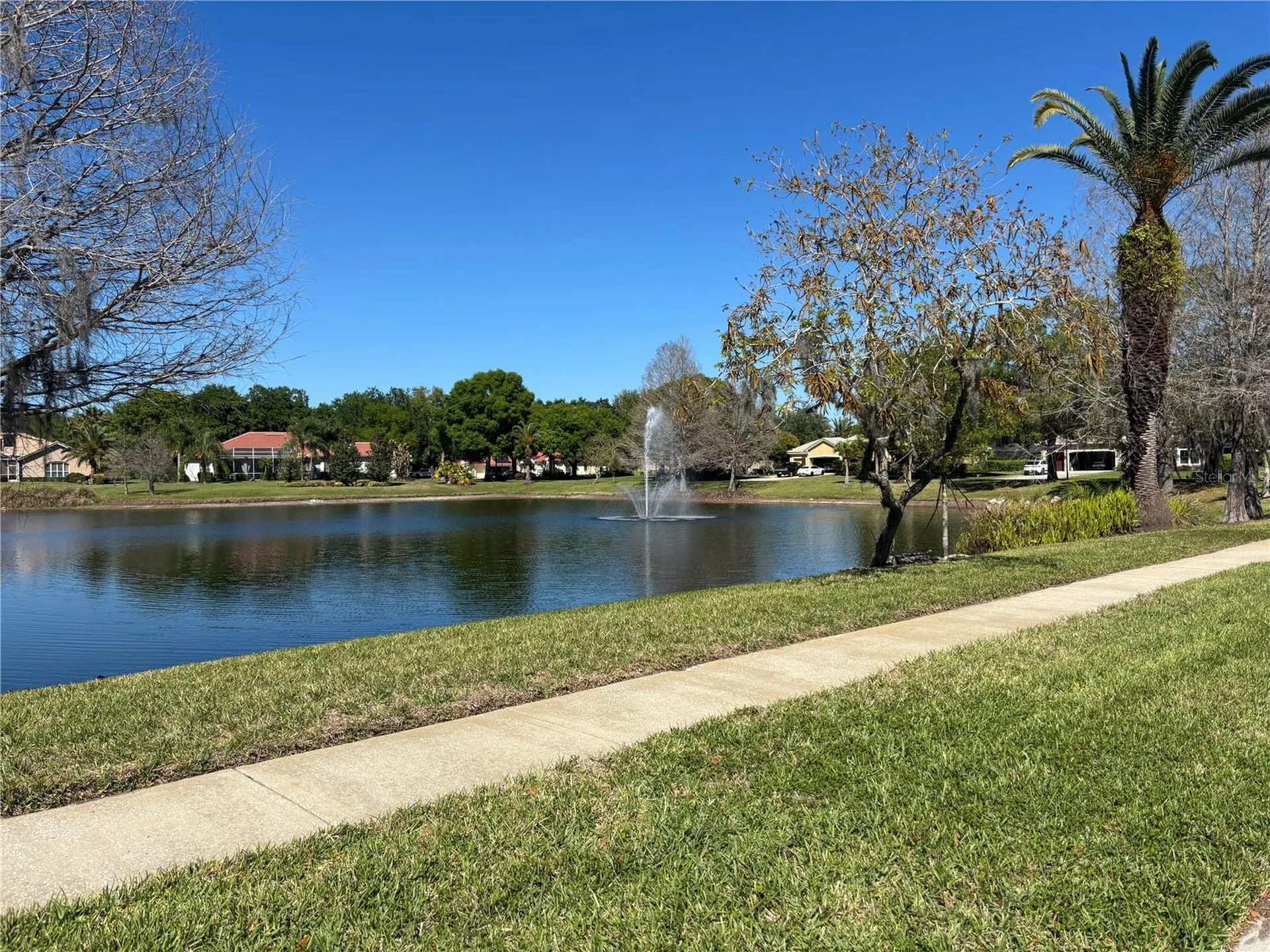 1310 Oxbridge Drive Lutz FL 33549