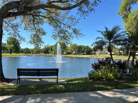 1310 Oxbridge Drive Lutz FL 33549