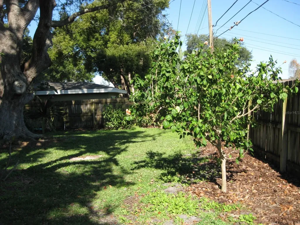 1479 Ruth Road Dunedin FL 34698