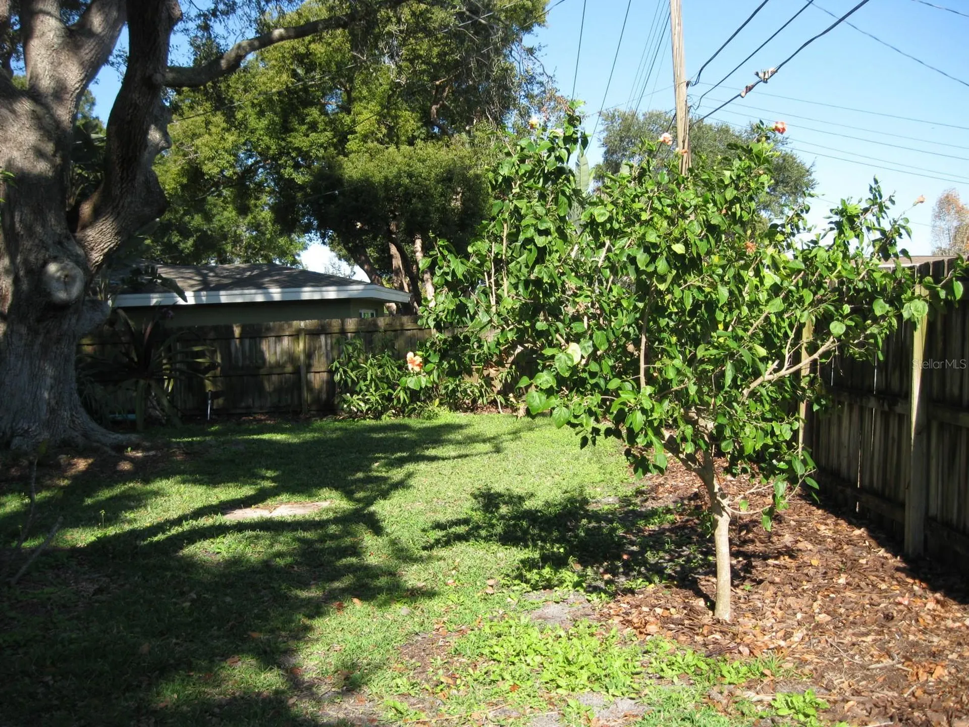 1479 Ruth Road Dunedin FL 34698