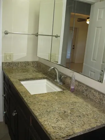 1479 Ruth Road Dunedin FL 34698