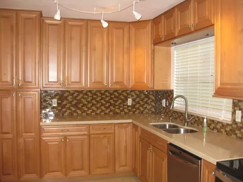 1479 Ruth Road Dunedin FL 34698