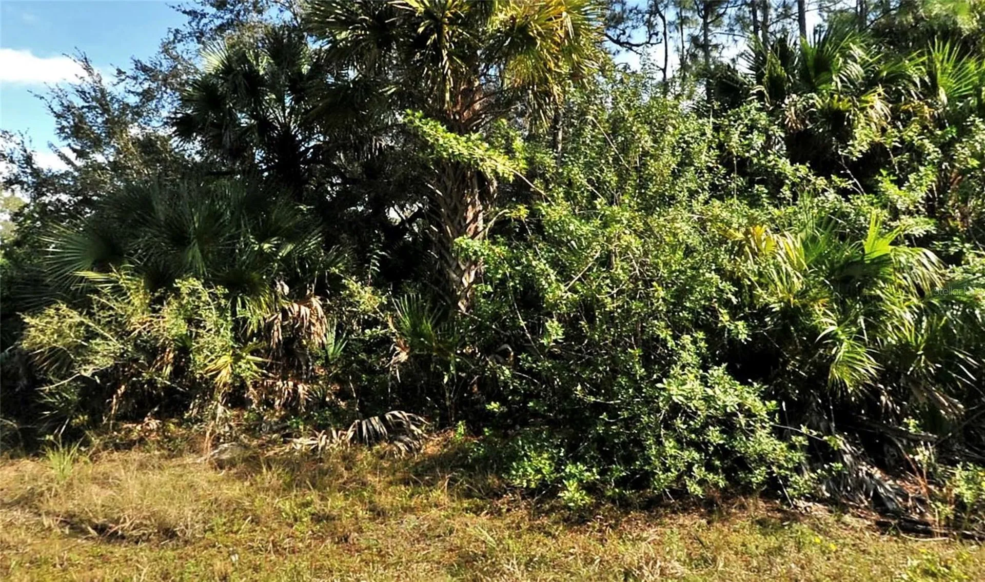 Bolus North Port FL 34288