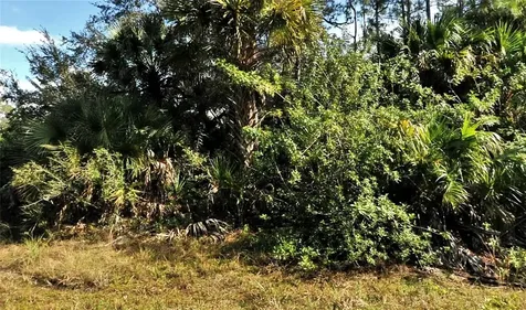 Bolus North Port FL 34288