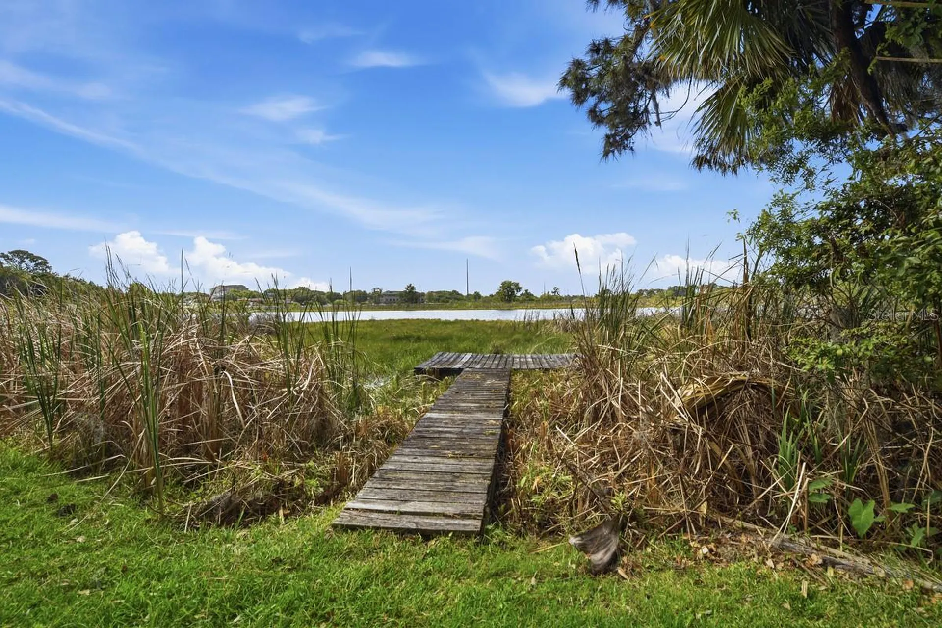 14338 Lake Junietta Drive Tavares FL 32778