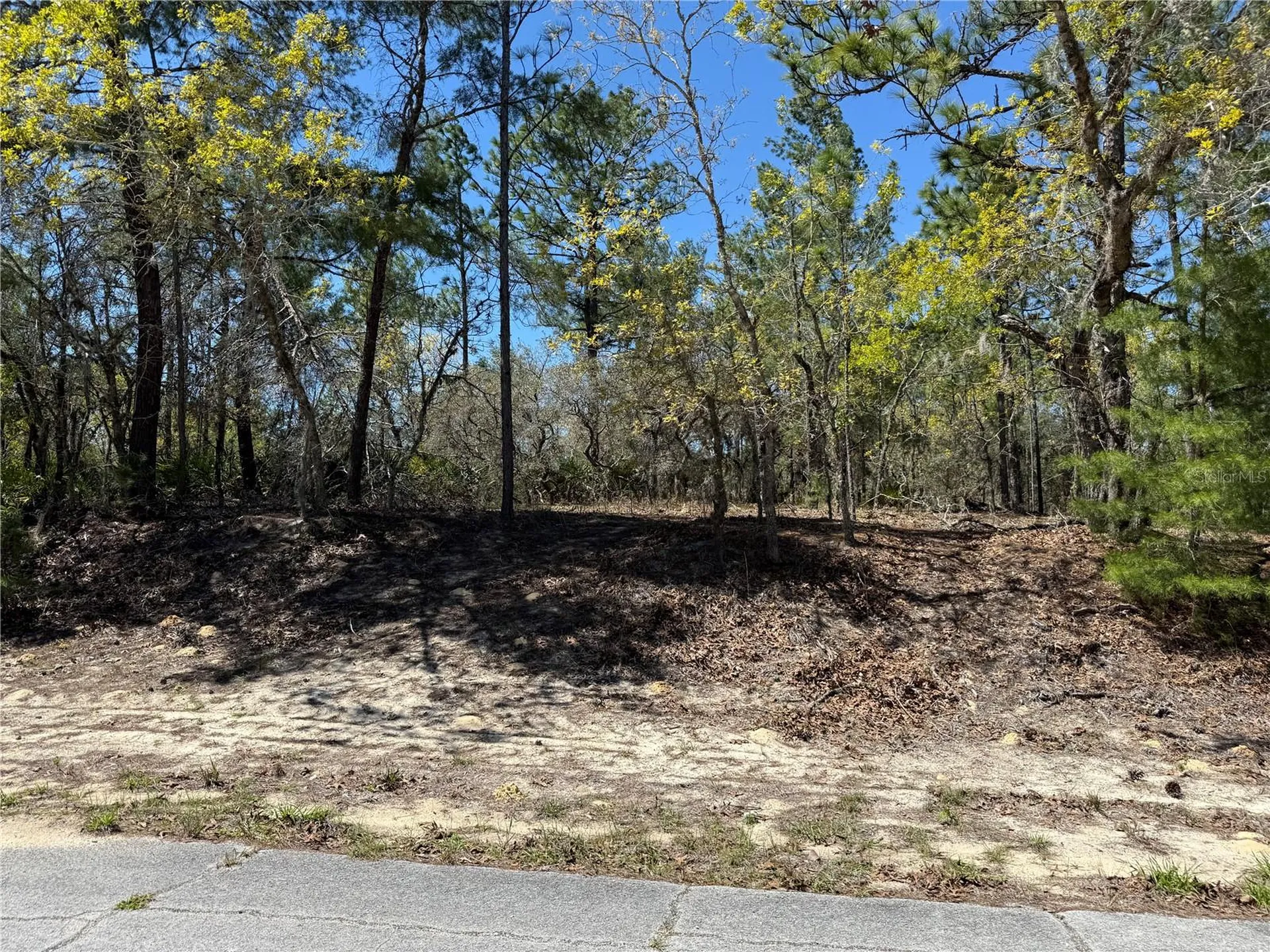 10776 N Moreno Drive Dunnellon FL 34433