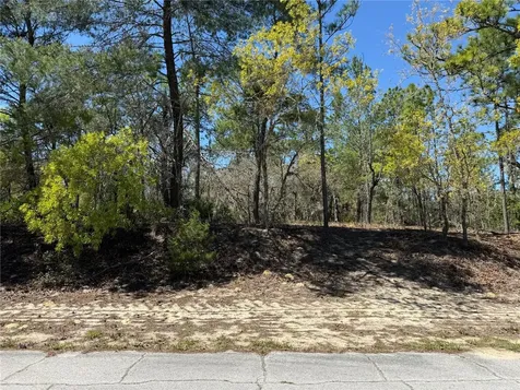 10776 N Moreno Drive Dunnellon FL 34433