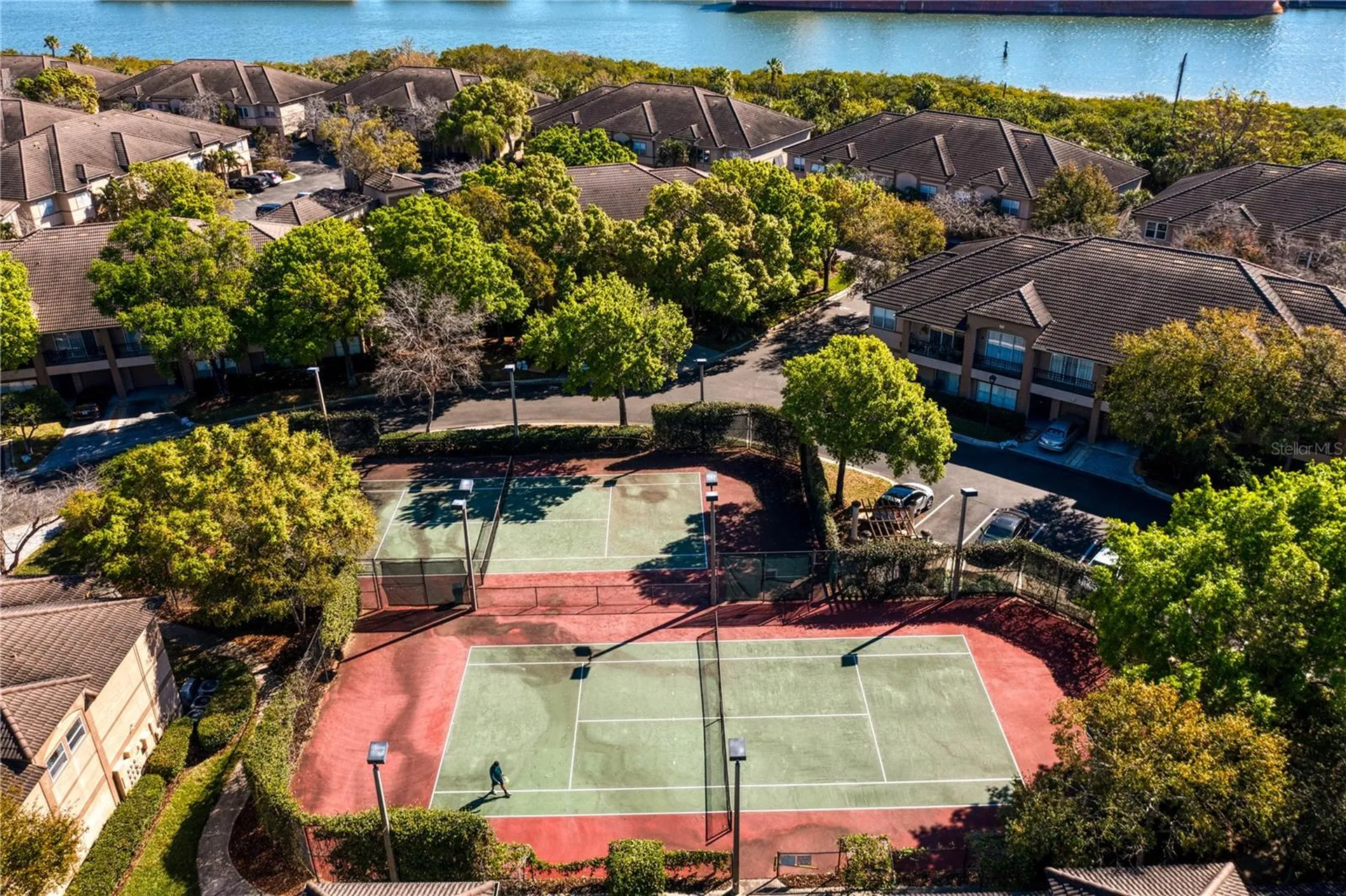943 Normandy Trace Road Tampa FL 33602
