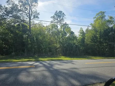S Goodman Road Kissimmee FL 34747