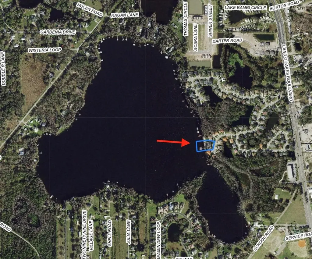 5643 White Ibis Lane Land O Lakes FL 34638