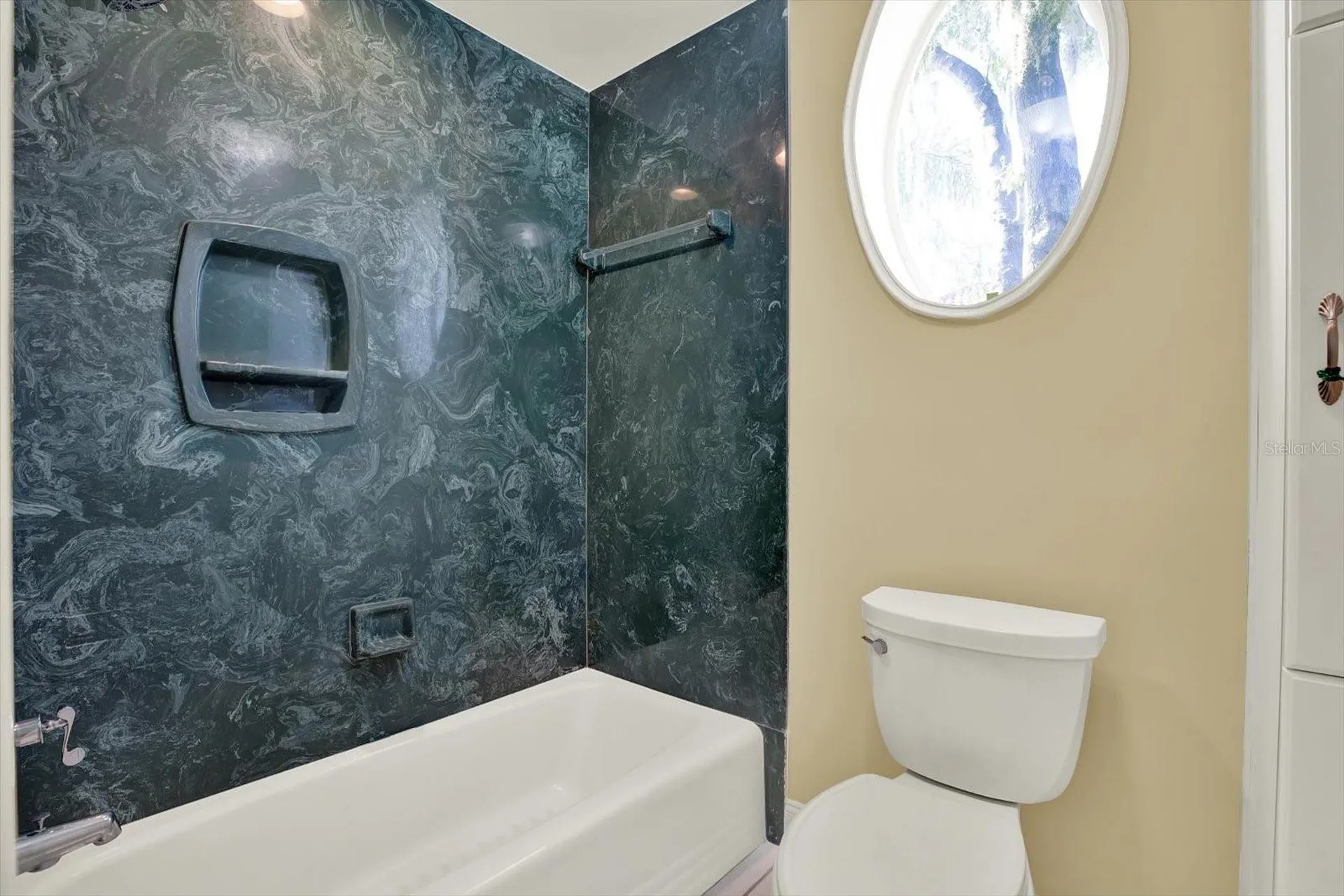 5643 White Ibis Lane Land O Lakes FL 34638