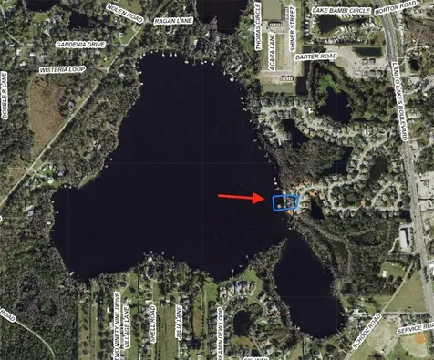 5643 White Ibis Lane Land O Lakes FL 34638