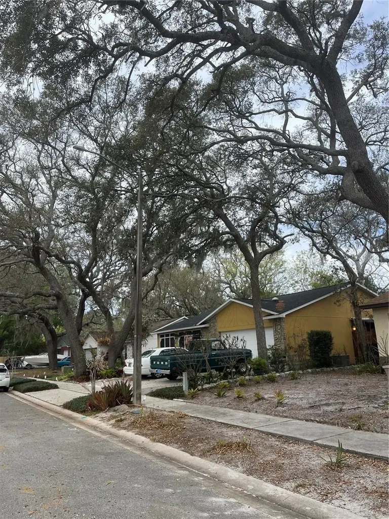 3005 Wedge Court Orlando FL 32817