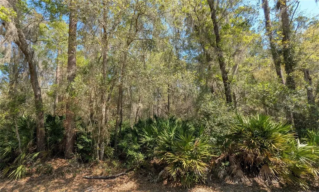 Tbd NE County Road 234 Gainesville FL 32641