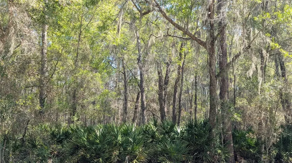 Tbd NE County Road 234 Gainesville FL 32641
