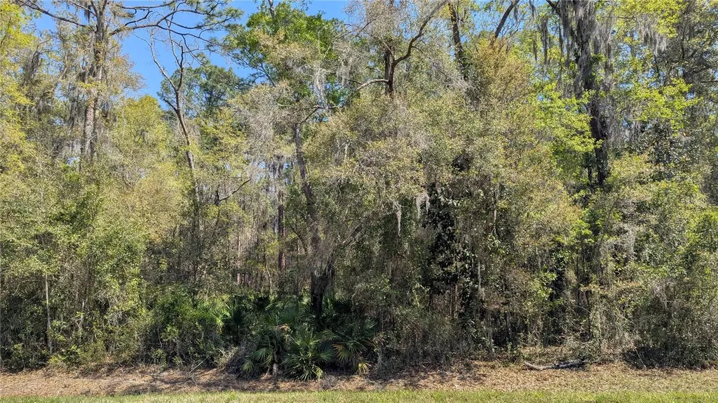 Tbd NE County Road 234 Gainesville FL 32641