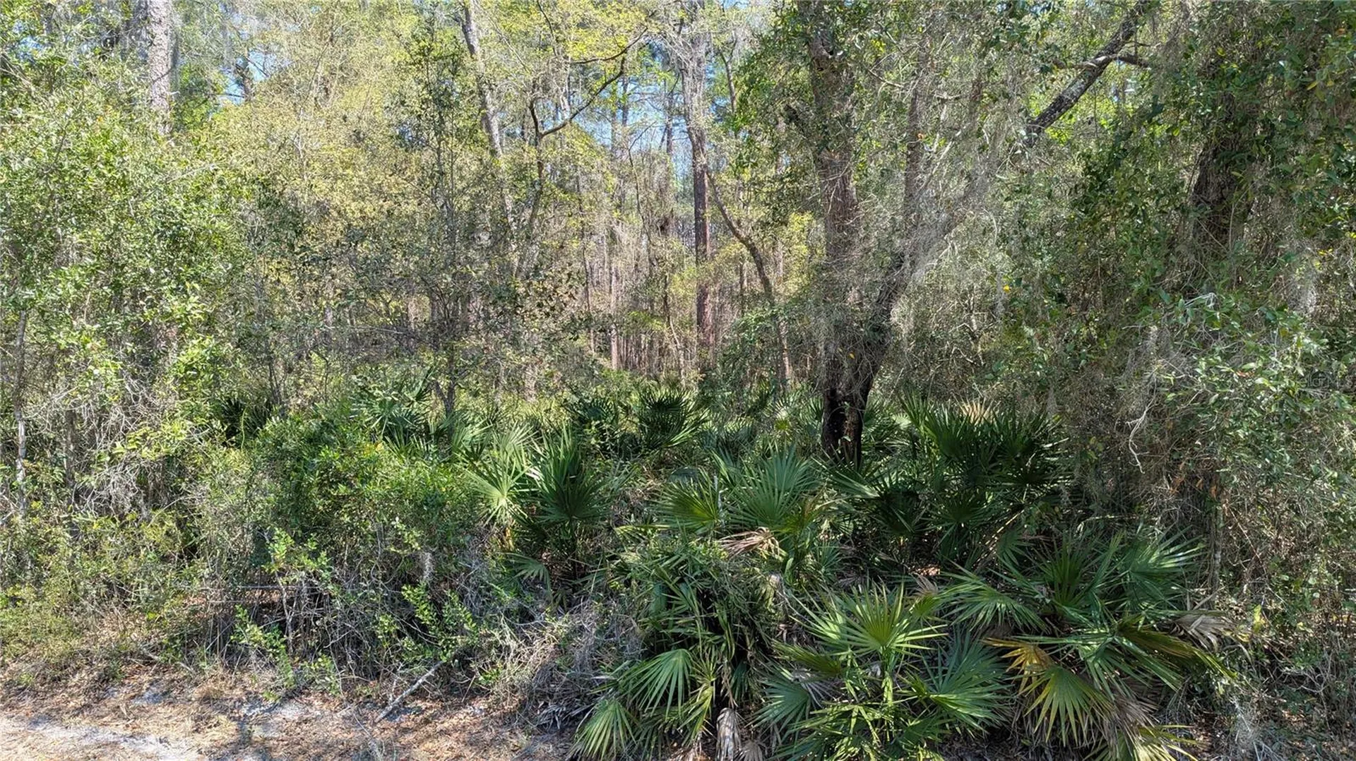 Tbd NE County Road 234 Gainesville FL 32641