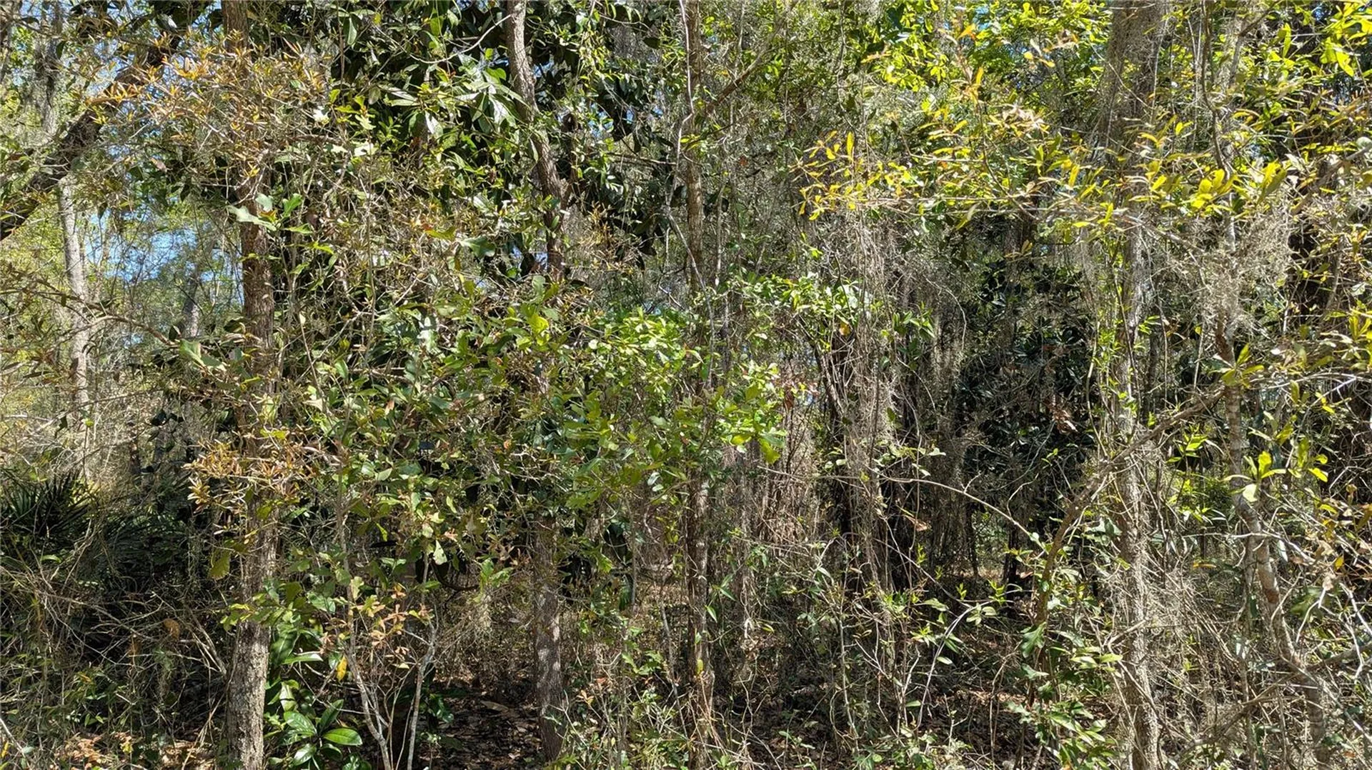 Tbd NE County Road 234 Gainesville FL 32641