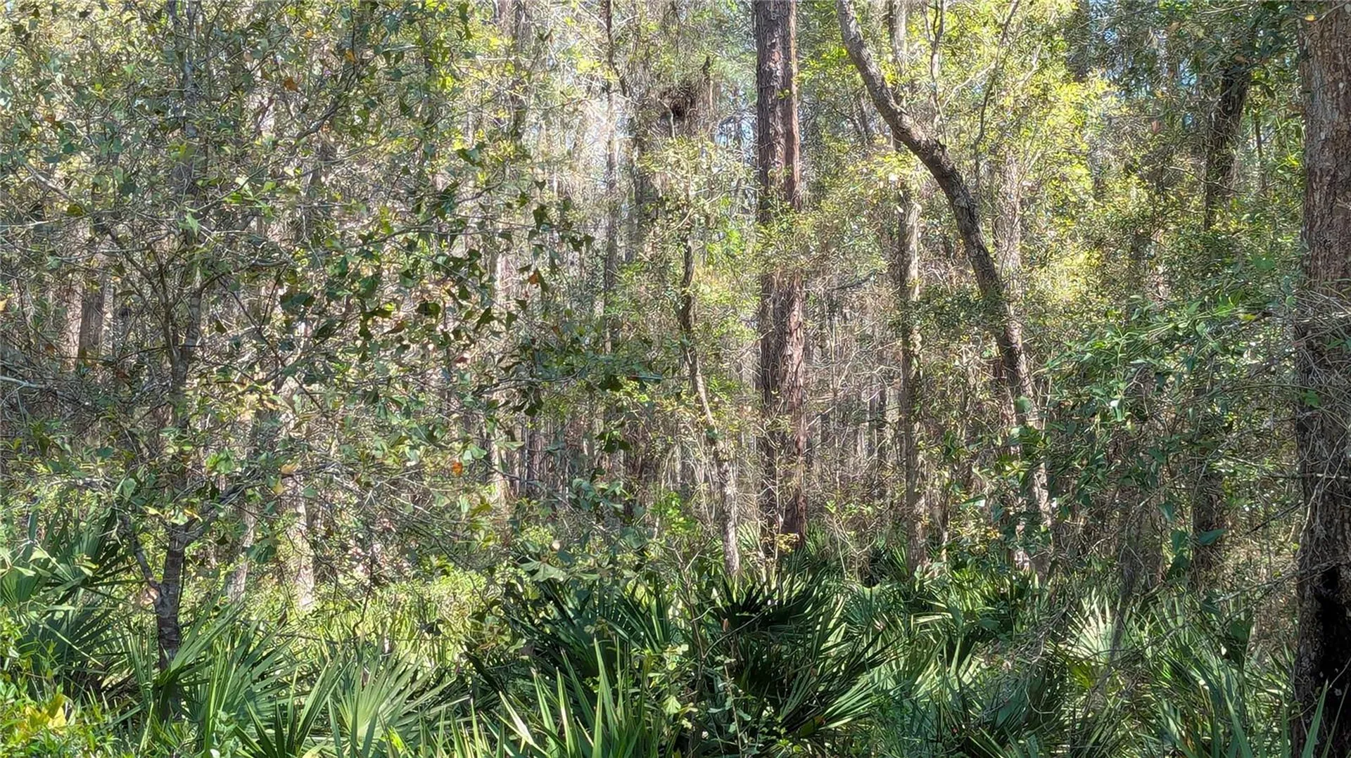 Tbd NE County Road 234 Gainesville FL 32641