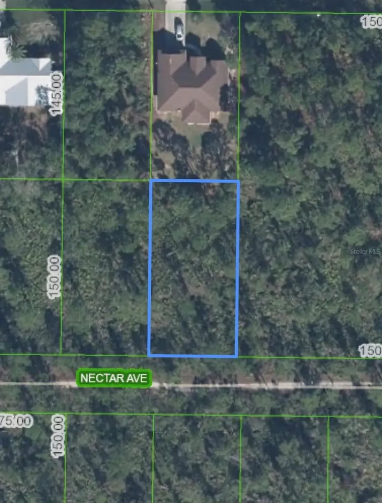 1702 Nectar Avenue Sebring FL 33875