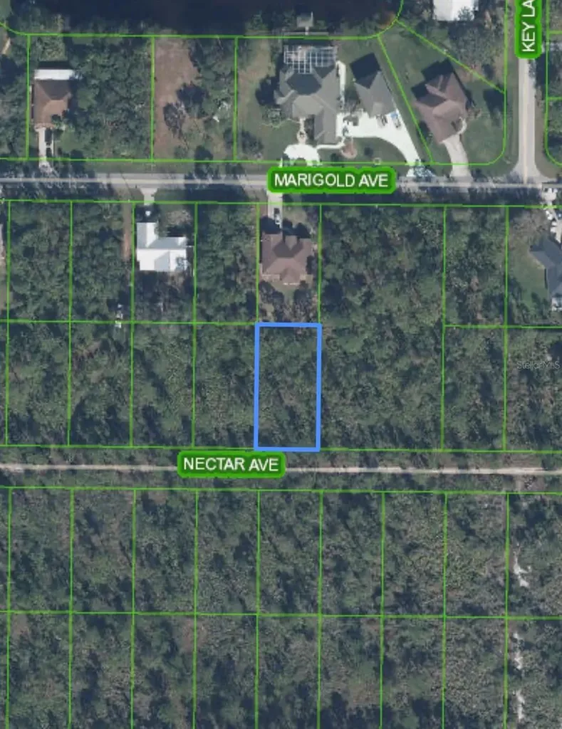 1702 Nectar Avenue Sebring FL 33875