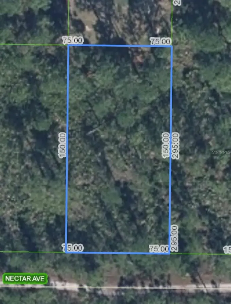 1702 Nectar Avenue Sebring FL 33875