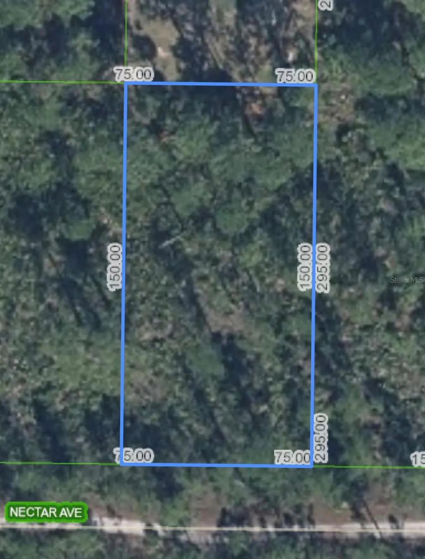 1702 Nectar Avenue Sebring FL 33875